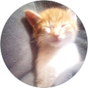 Contact us Contact Canada 3 Catherine profile picture